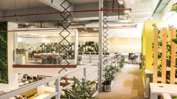 12 Reasons Why Modern Office Spaces Need to Reconnect with Nature